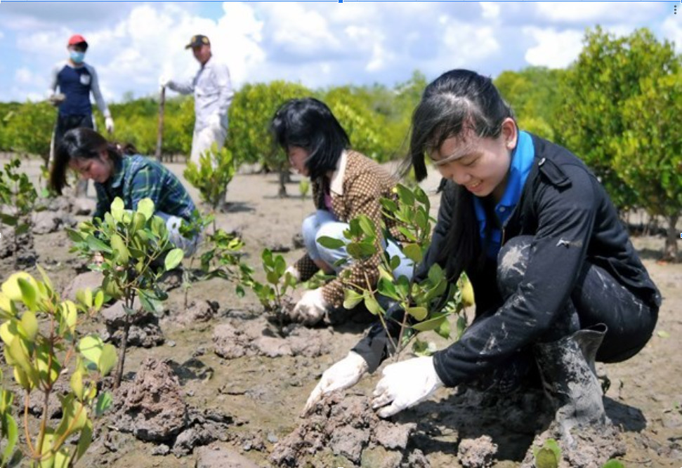 Phát triển bền vững